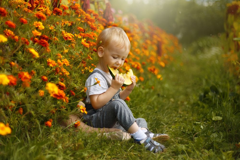 Арбузное настроение