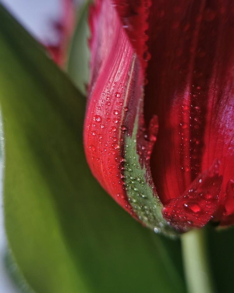 Photograph by Елена Савина