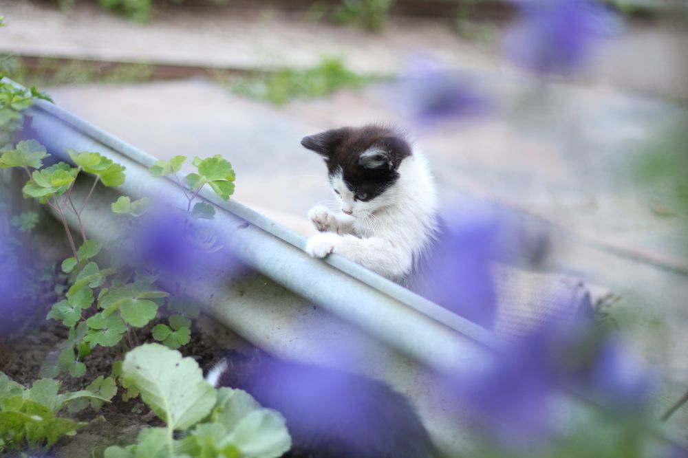 Photograph by Наталья Агаева