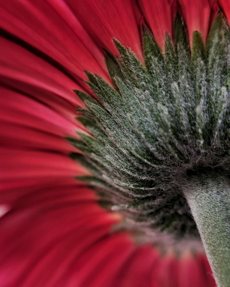 Photograph by Елена Савина