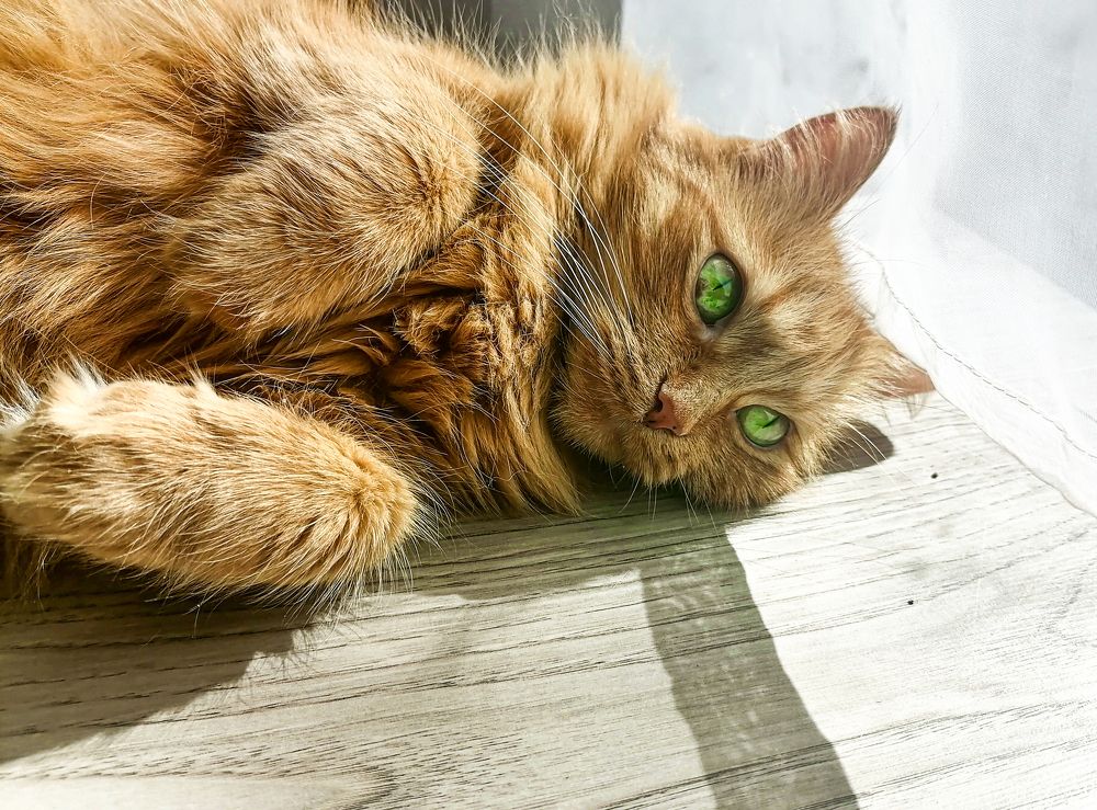 Photograph by Станислав Евсеев