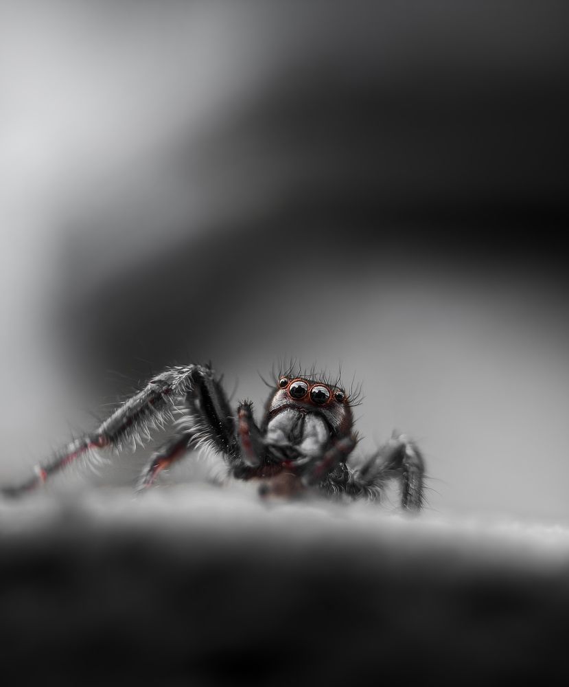 Photograph by Gouthom Bhalabaya