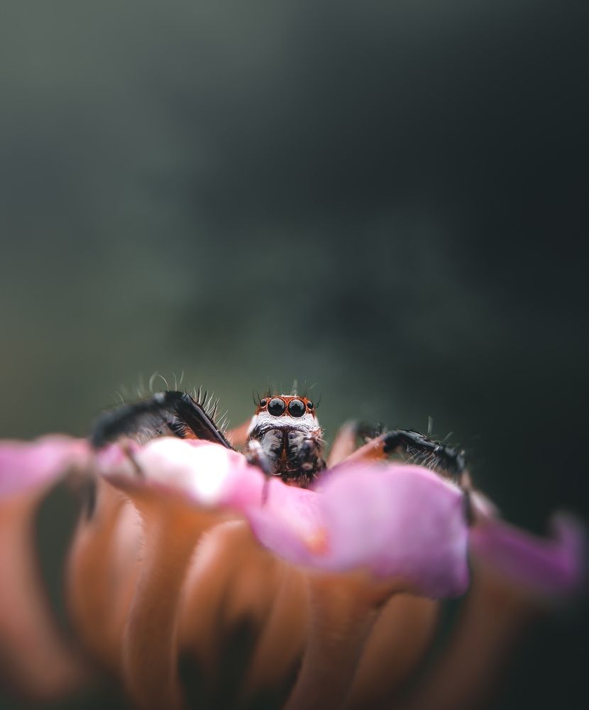 Photograph by Gouthom Bhalabaya