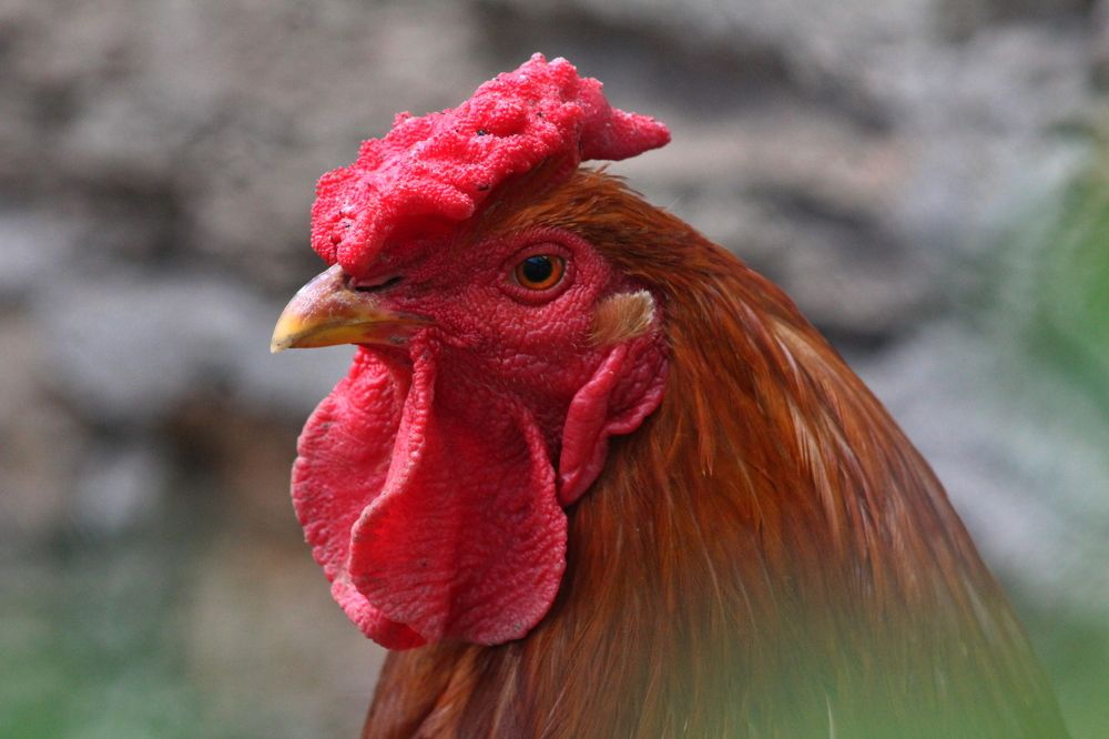 Photograph by Galina Tsmyg