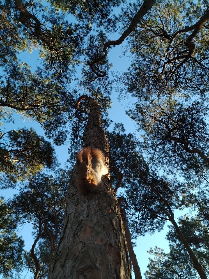 Photo #6210014
