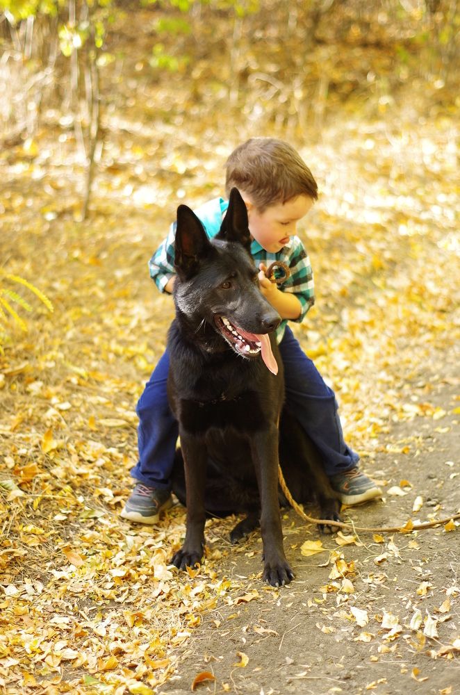 Варлам и Герда