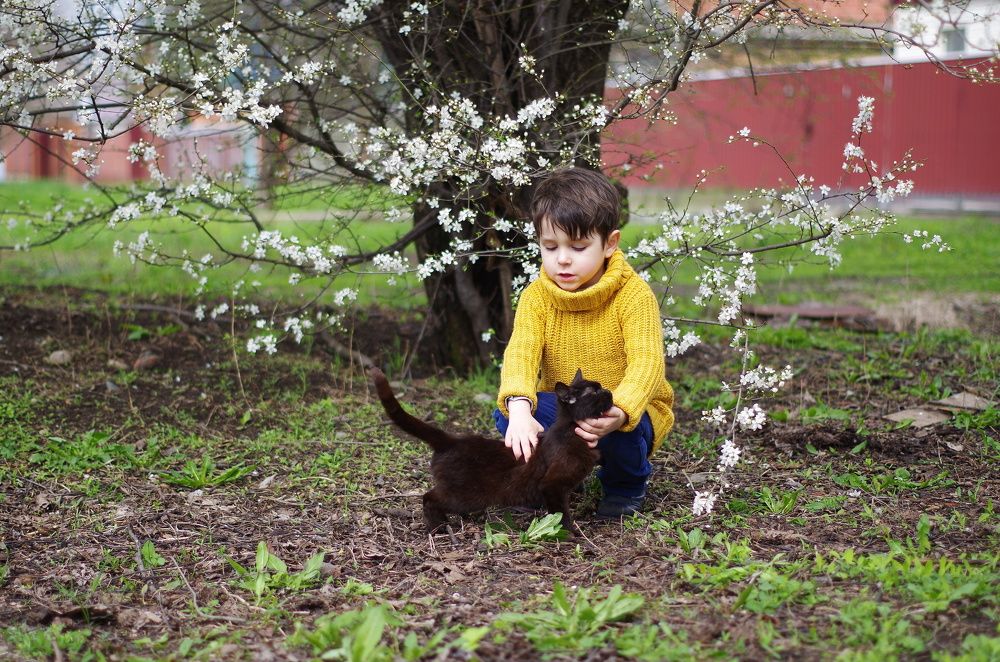 Photograph by Галина Григорьева