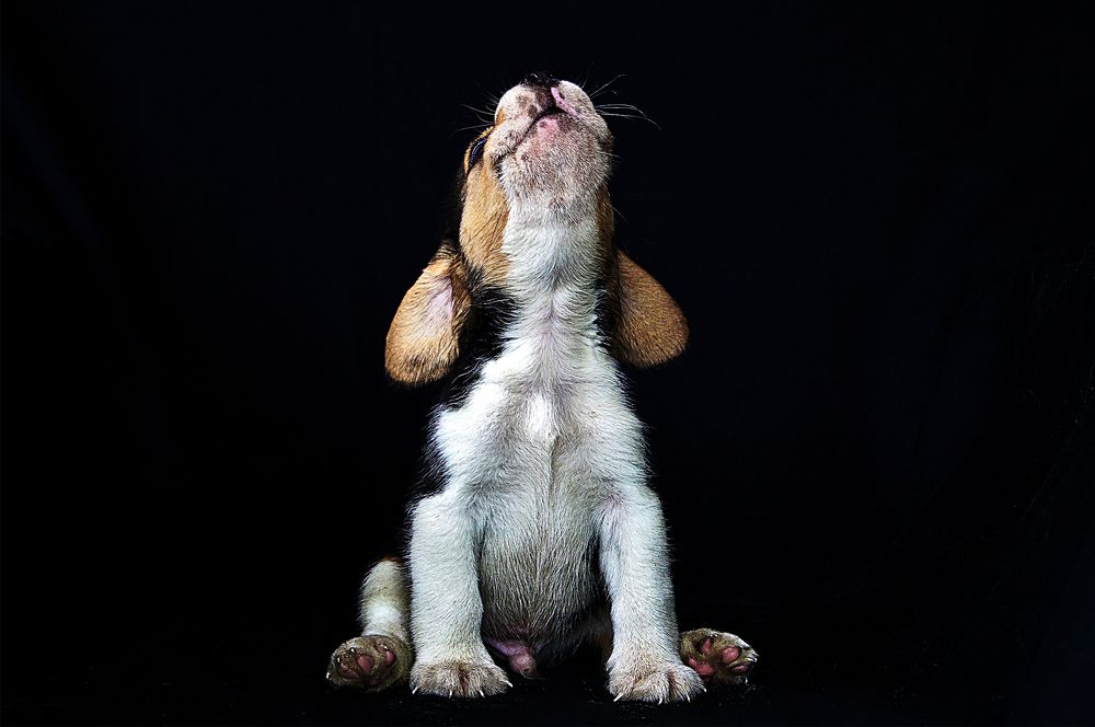 YA NO QUIERO MAS FOTOS