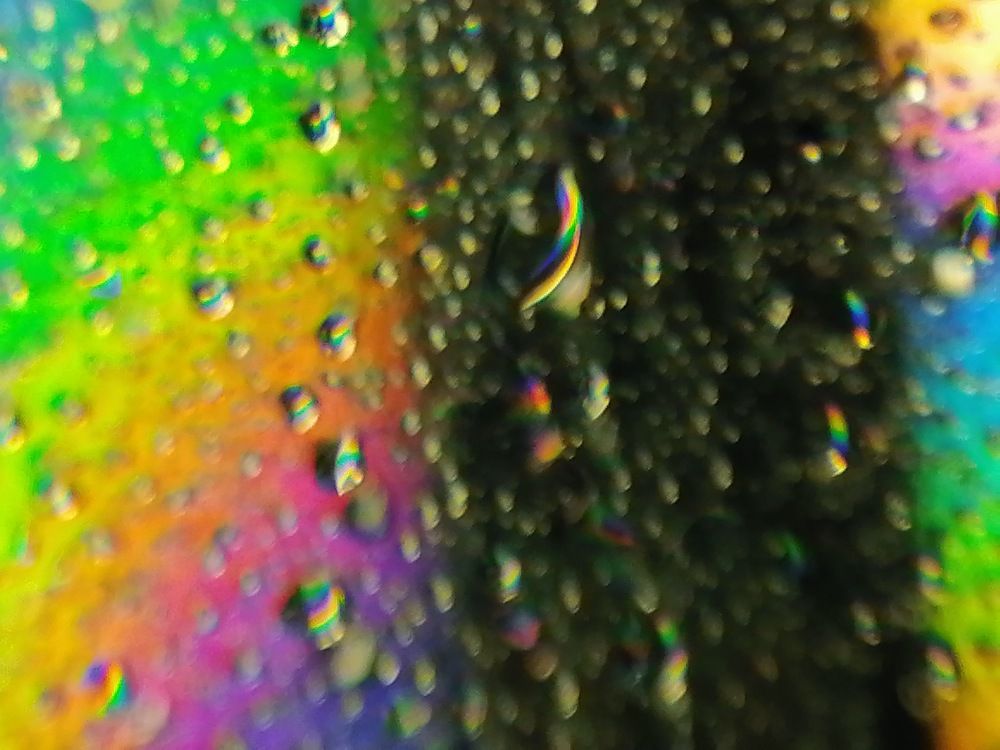 Photograph by Rita Loddo