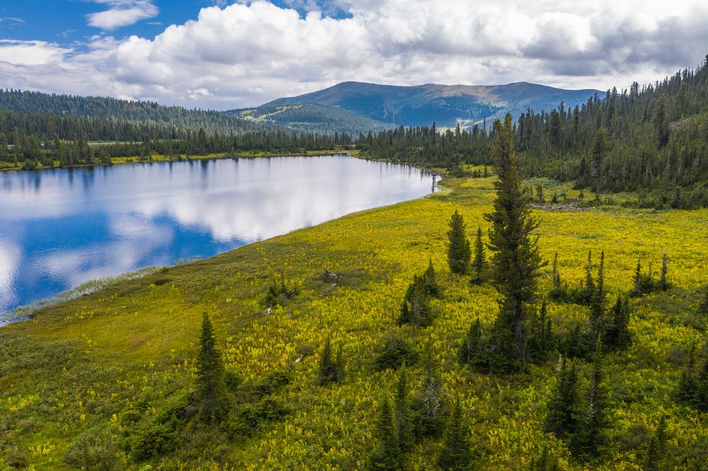 Яркие Ергаки