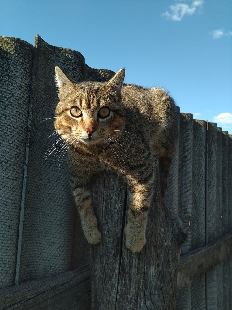Photograph by Суворина Ольга