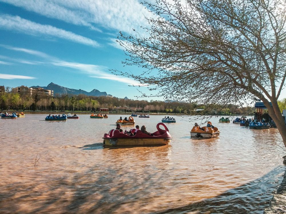 Photograph by safoura asghari