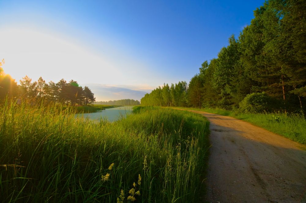 Photograph by Дмитрий Павлов