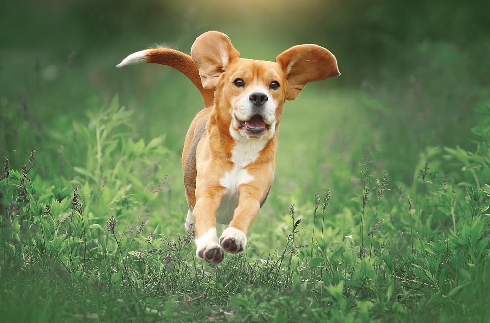 Photograph by Katerina Mumzhinskaya