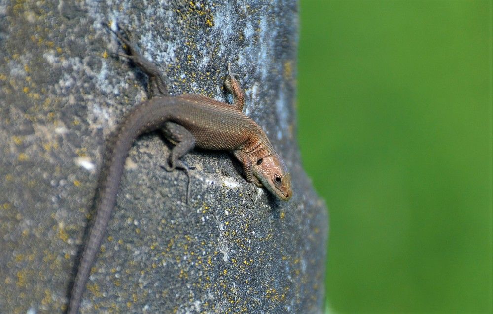 Photograph by Наталья Кошелева