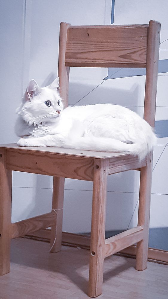 Photograph by Светлана Кудрявченко