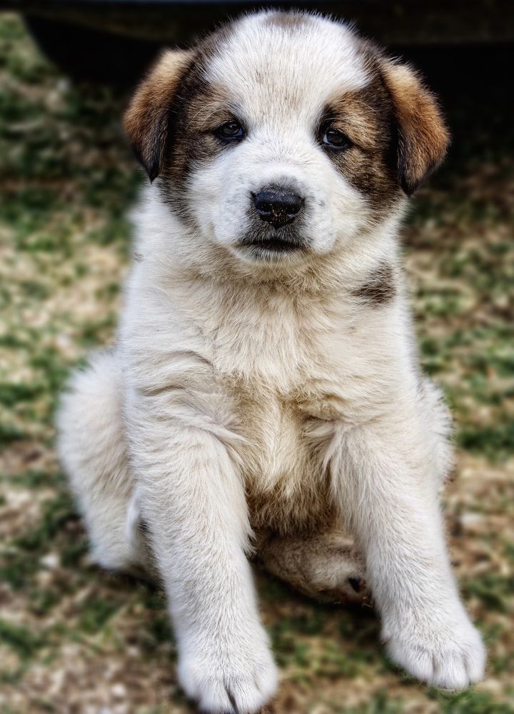 Photograph by Малика Маткарим