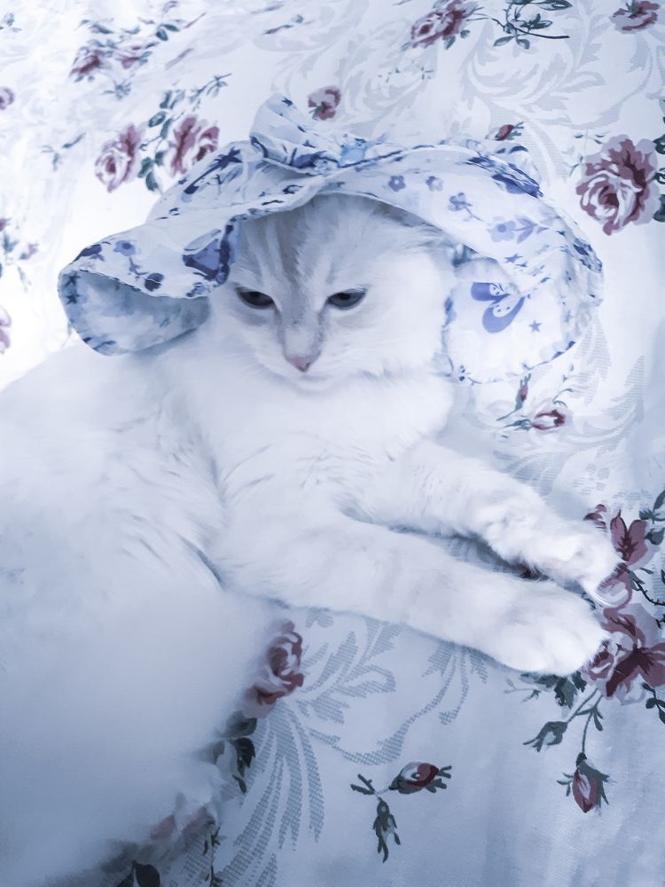 Photograph by Светлана Кудрявченко