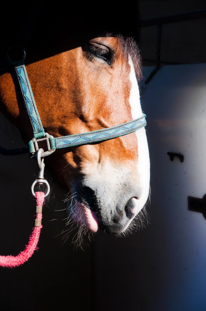 Photograph by Наталия Шляпина