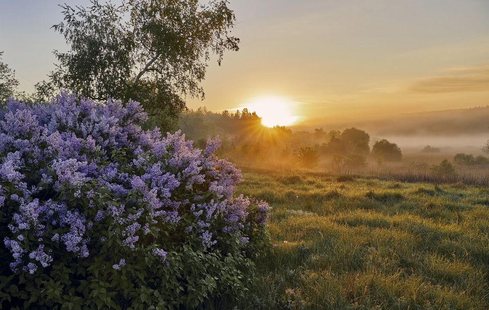 Photograph by Игорь Поддубный