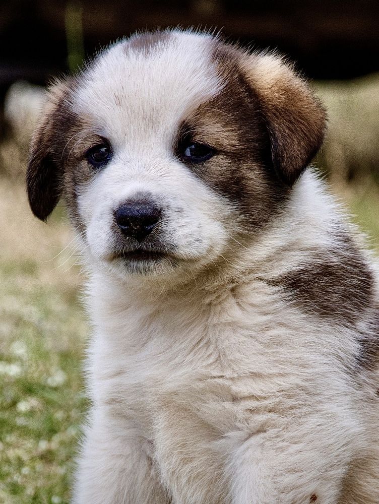 Photograph by Малика Маткарим