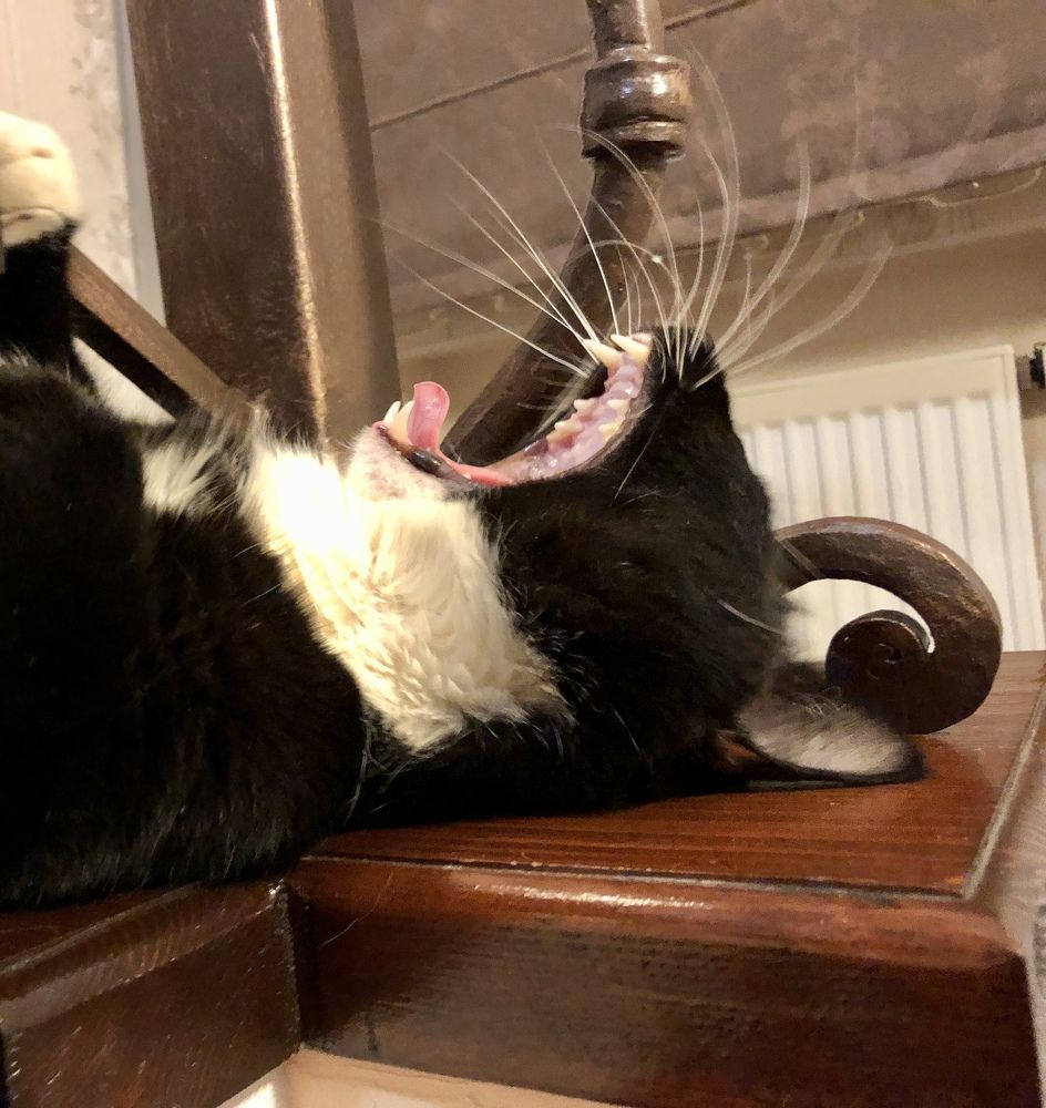 Photograph by Ольга Ильина