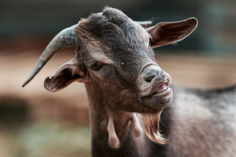 Photograph by Анастасия Голубева