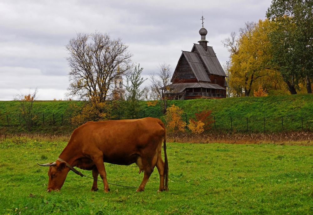 Кормилица...