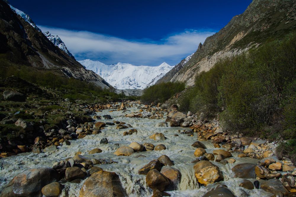 После дождя