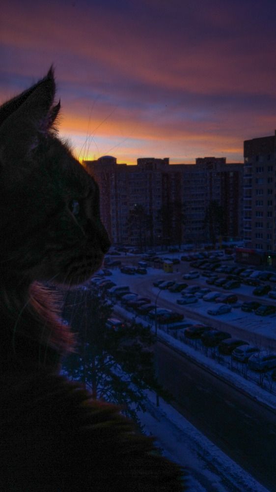 Photograph by Ирина Харлова