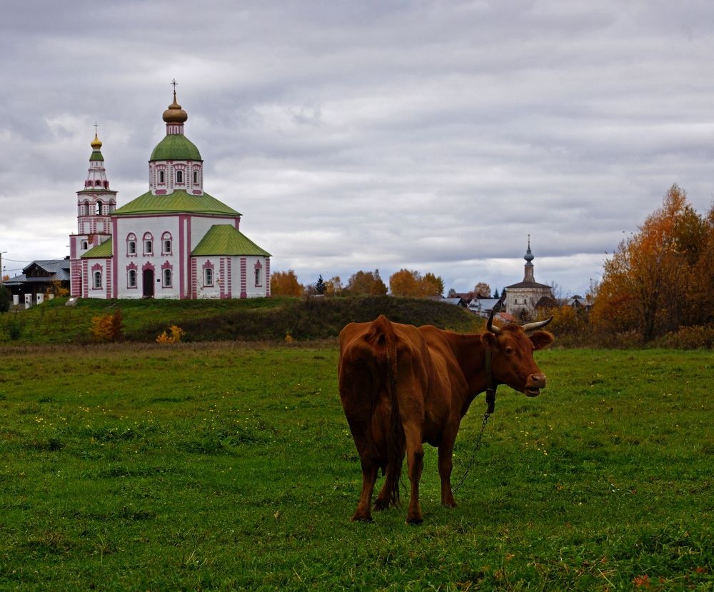 Я оглянулась посмотреть...