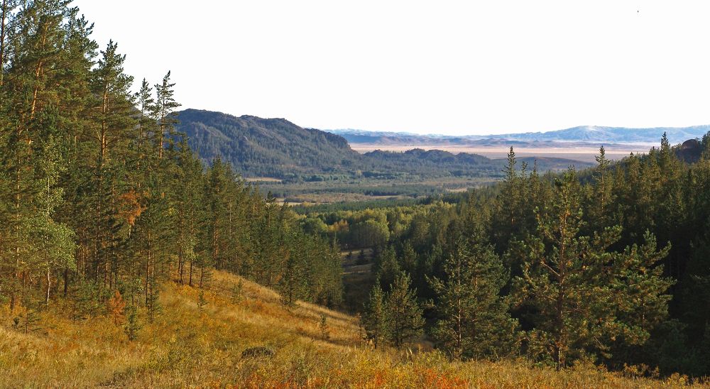 Photograph by Михаил Максимов