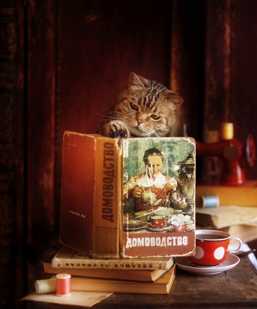 Photograph by Iryna Matvieienko