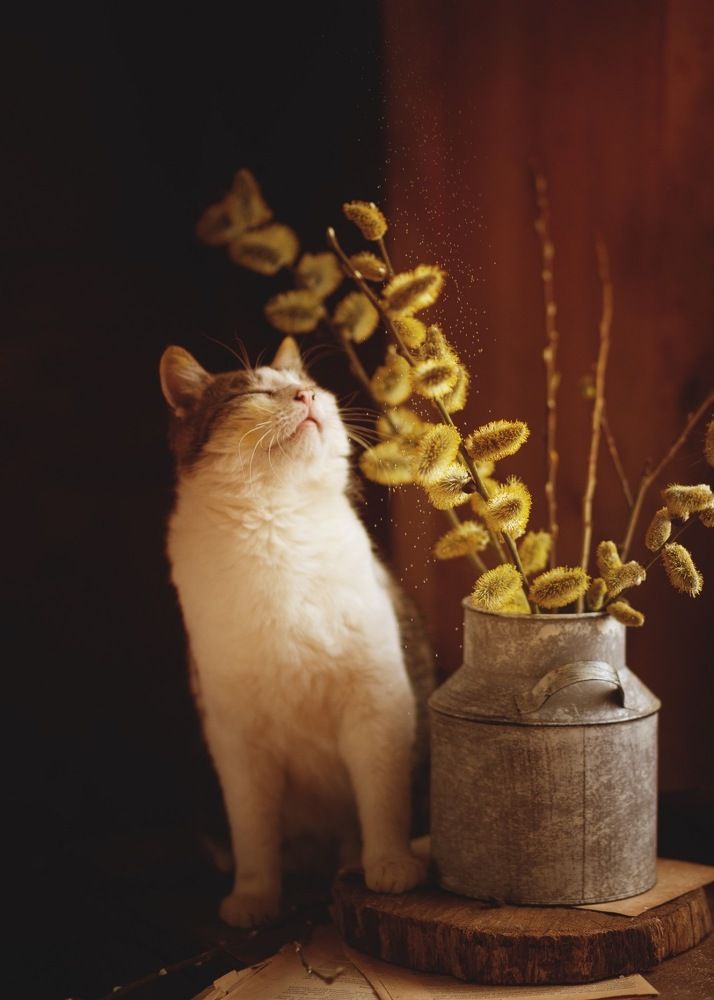 Photograph by Iryna Matvieienko