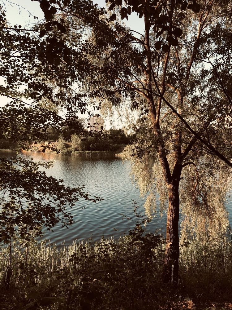 Пейзаж - день