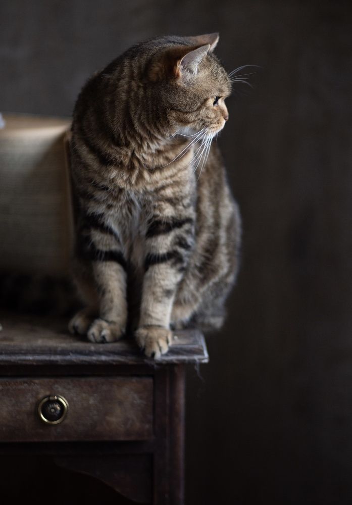 Photograph by Iryna Matvieienko