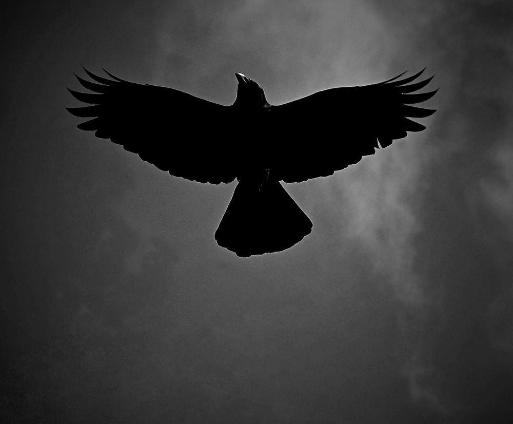 Photograph by Norayr Khazhakyan