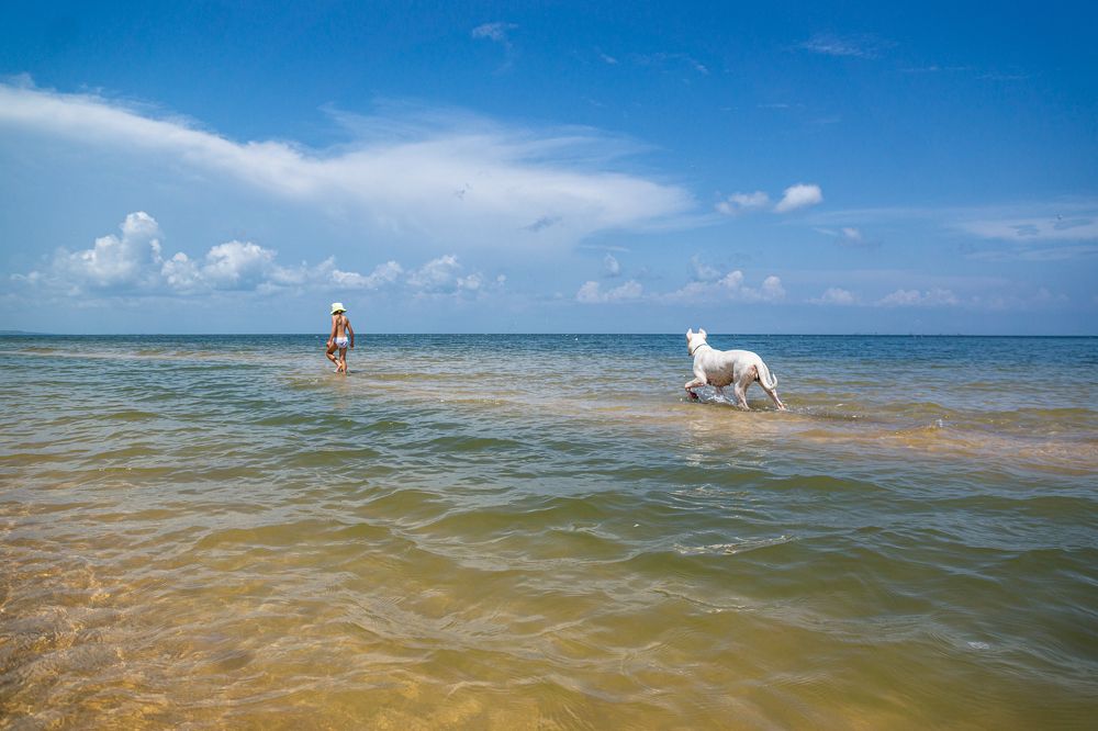 Photograph by Галия Кривошеева