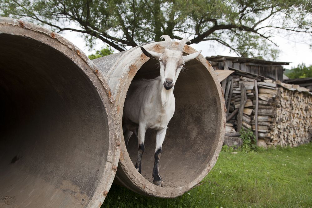 Фотография автора евгений митрошин