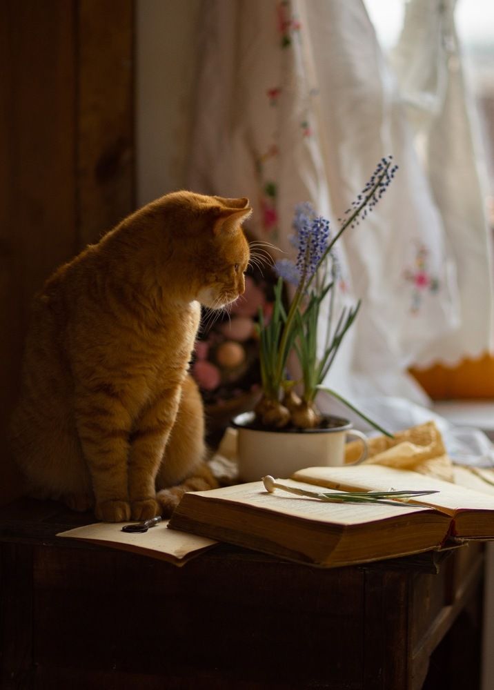 Photograph by Iryna Matvieienko