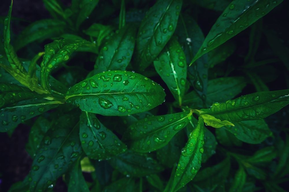 Photograph by Артем Гельм