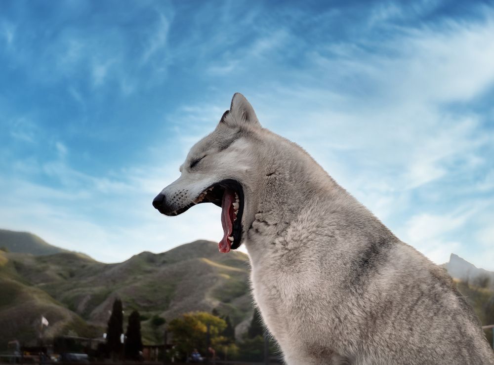 Photograph by Ирина Кленкова