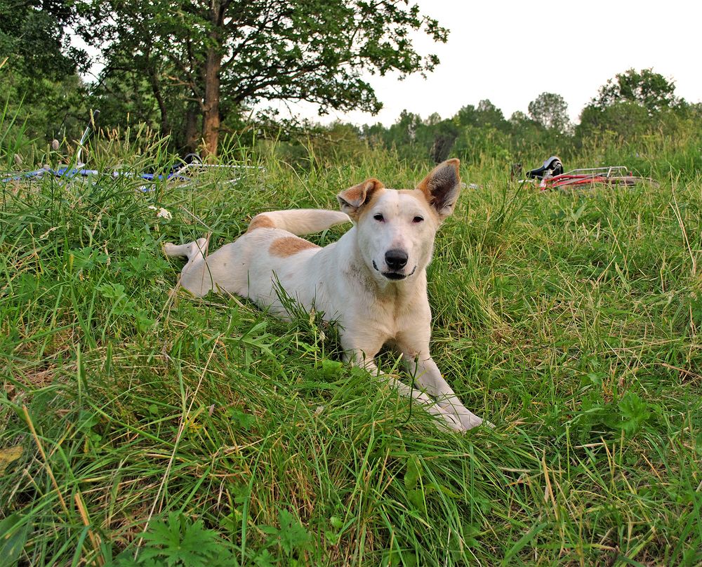 Photograph by Алексей