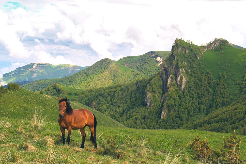 Фотография автора OXANA MARSOVA