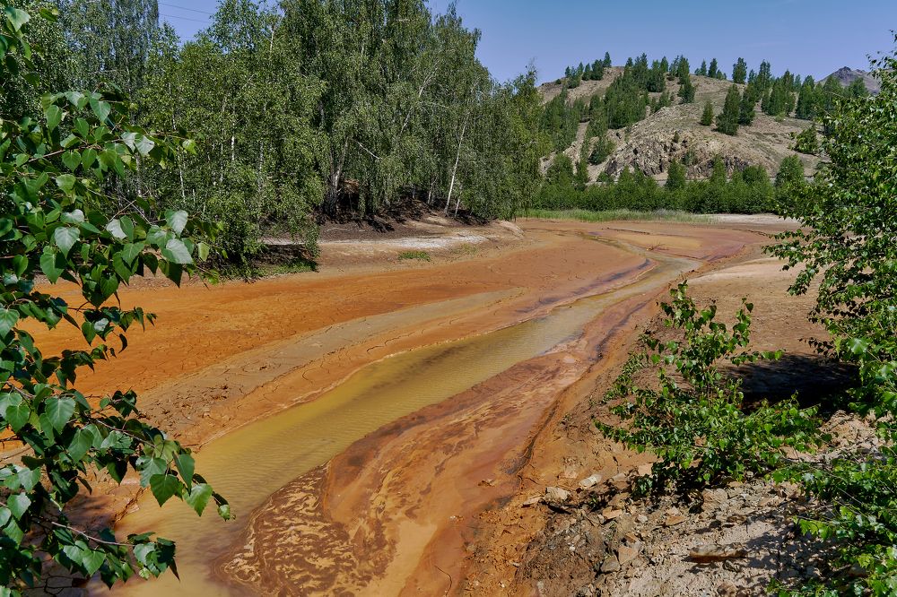 Photograph by Елена Мормоль