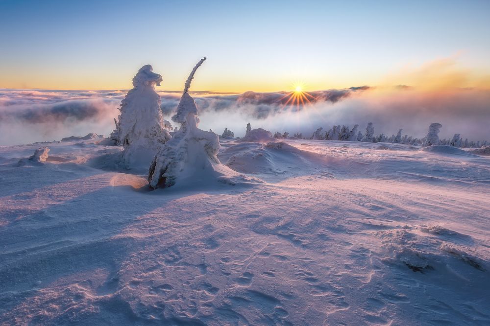 Photograph by Tom Kráčmar