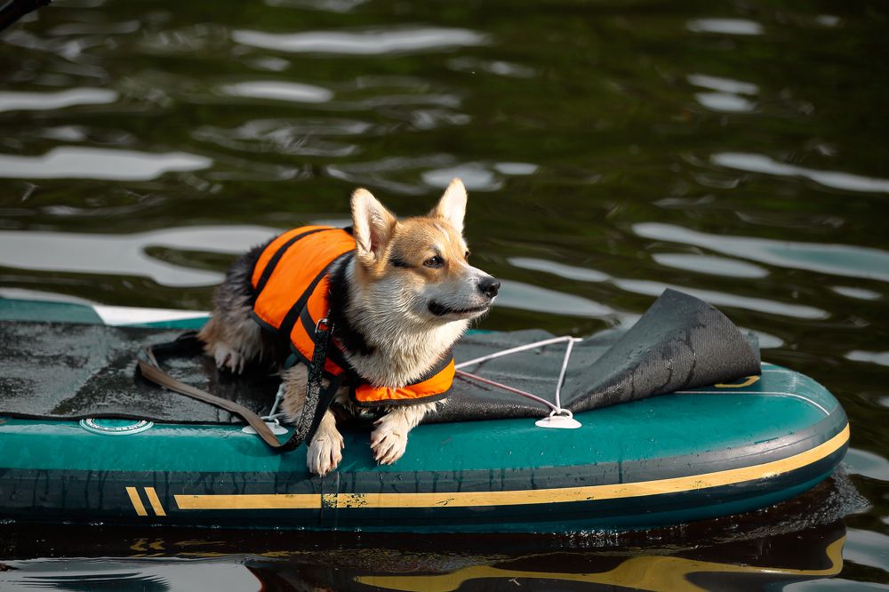 Photograph by Elena Guseva