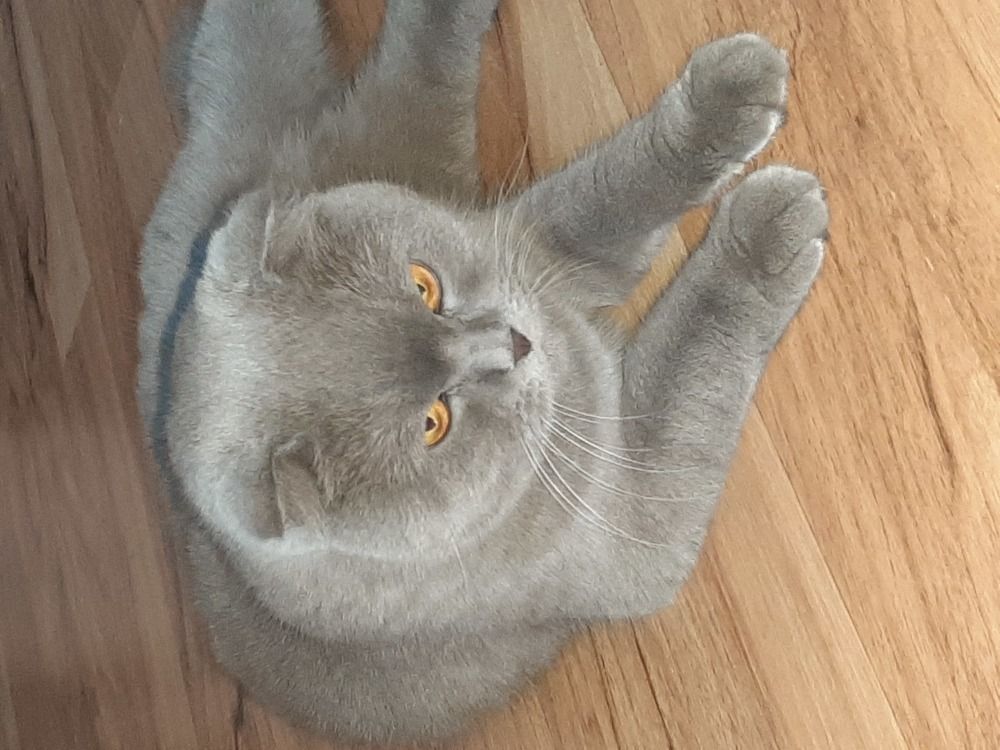 Photograph by Олеся Резникова