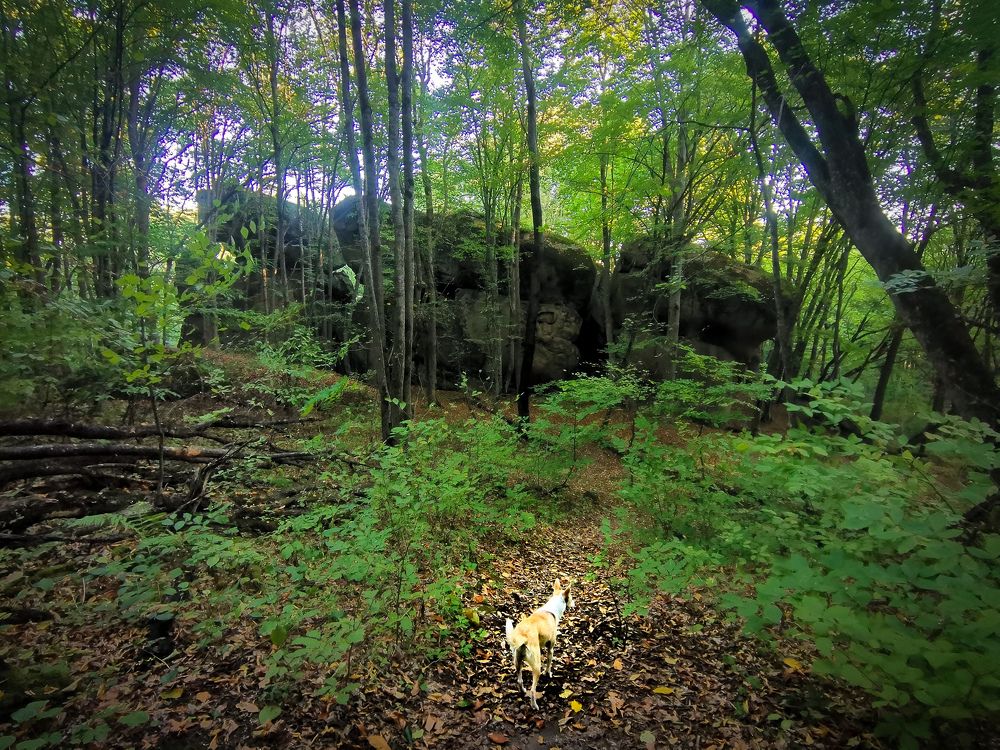 Фотография автора OXANA MARSOVA