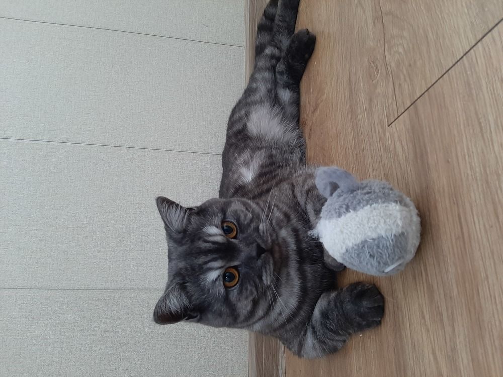 Photograph by Олеся Резникова